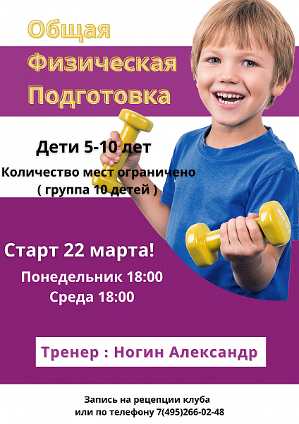 Программа занятий для детей в мини-группах (5-10 человек) в Щёлково